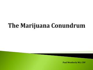 The M arijuana Conundrum