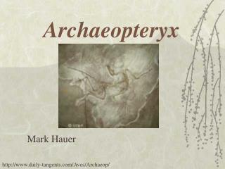 Archaeopteryx