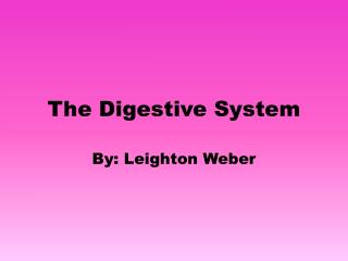 The Digestive System