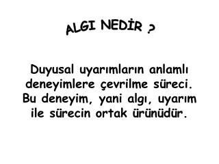 ALGI NEDİR ?