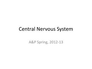 Central Nervous System