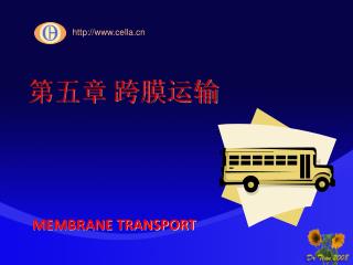 第五章 跨膜运输