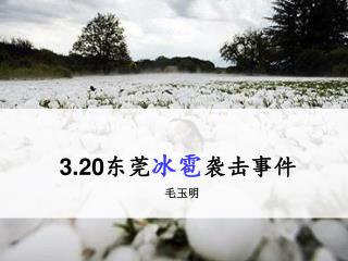 3.20 东莞 冰雹 袭击事件 毛玉明