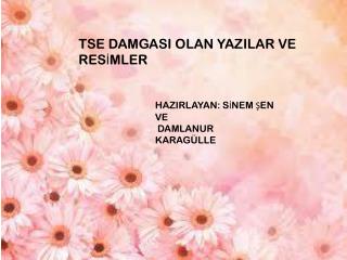 TSE DAMGASI OLAN YAZILAR VE RESİMLER