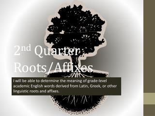 2 nd Quarter Roots/Affixes