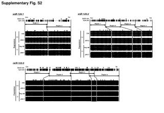 Supplementary Fig. S2