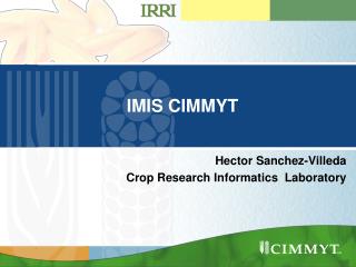 IMIS CIMMYT