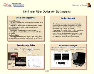 Nonlinear Fiber Optics for Bio-Imaging
