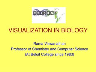 VISUALIZATION IN BIOLOGY