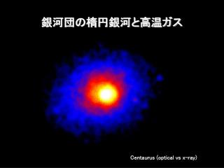 銀河団の楕円銀河と高温ガス