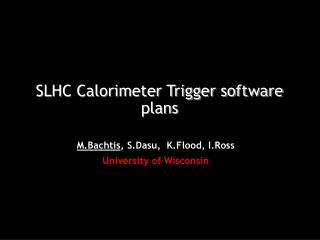 SLHC Calorimeter Trigger software plans