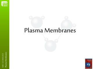 Plasma Membranes