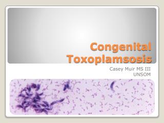 Congenital Toxoplamsosis