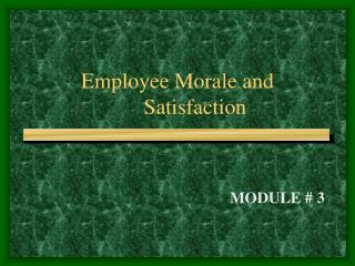 Employee Morale and 	Satisfaction