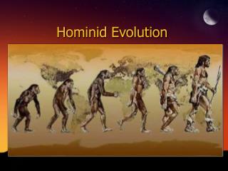 Hominid Evolution