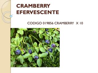 CRAMBERRY EFERVESCENTE