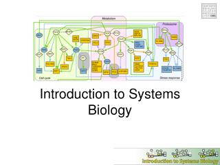 Introduction to Systems Biology