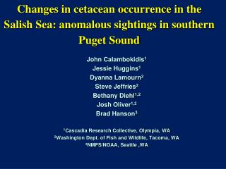 Changes in cetacean occurrence in the Salish Sea: anomalous sightings in southern Puget Sound