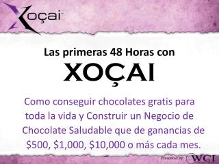 Las primeras 48 Horas con XOÇAI