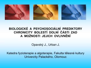 BIOLOGICKÉ A PSYCHOSOCIÁLNÍ PREDIKTORY CHRONICITY BOLESTÍ DOLNÍ ČÁSTI ZAD