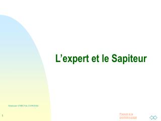 L’expert et le Sapiteur