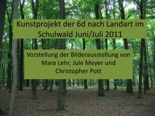 Kunstprojekt der 6d nach Landart im S chulwald Juni/Juli 2011