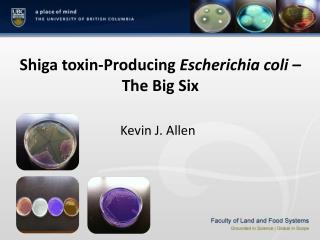 Shiga toxin-Producing Escherichia coli – The Big Six