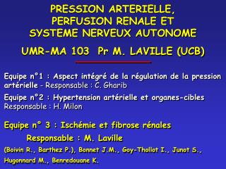 PRESSION ARTERIELLE, PERFUSION RENALE ET SYSTEME NERVEUX AUTONOME