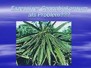 Exzessiver Cannabiskonsum als Problem???