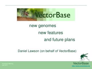 VectorBase vectorbase