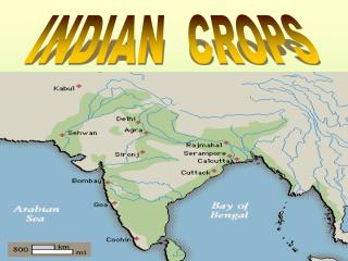 INDIAN CROPS