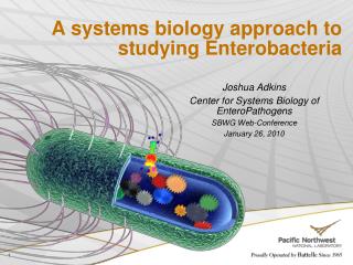 A systems biology approach to studying Enterobacteria