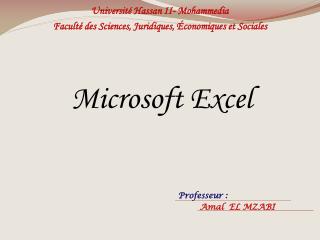 Microsoft Excel