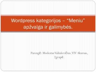 Wordpress kategorijos – “Meniu” apžvalga ir galimybės.