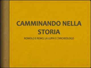 CAMMINANDO NELLA STORIA