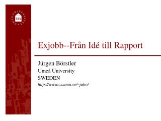 Exjobb--Från Idé till Rapport