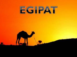 EGIPAT