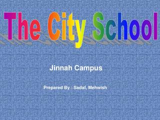 The City School