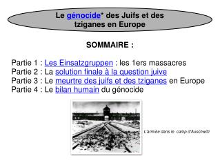 Le génocide * des Juifs et des tziganes en Europe