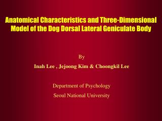 Anatomical Characteristics and Three-Dimensional Model of the Dog Dorsal Lateral Geniculate Body