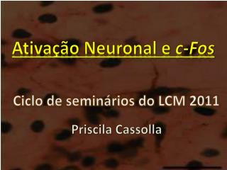 Ativação Neuronal e c-Fos