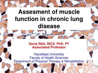 Assesment of muscle function in chronic lung disease