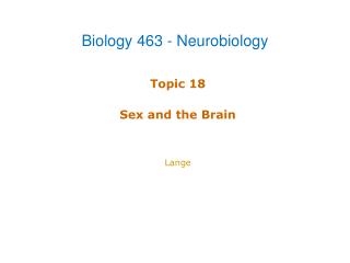 Topic 18 Sex and the Brain Lange