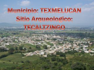 Municipio: TEXMELUCAN Sitio Arqueologico : TECALTZINGO
