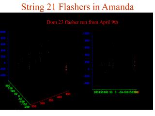 String 21 Flashers in Amanda