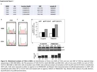 Supplemental Figure 1