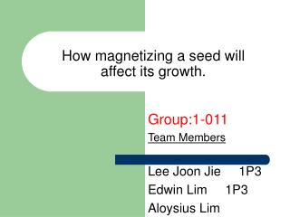 How magnetizing a seed will affect its growth.