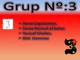 Grup Nº:3