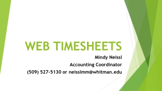 WEB TIMESHEETS