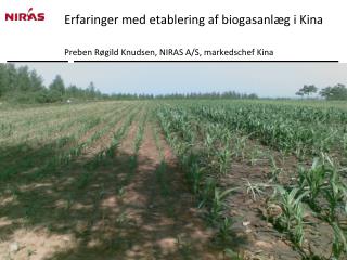 Erfaringer med etablering af biogasanlæg i Kina Preben Røgild Knudsen, NIRAS A/S, markedschef Kina